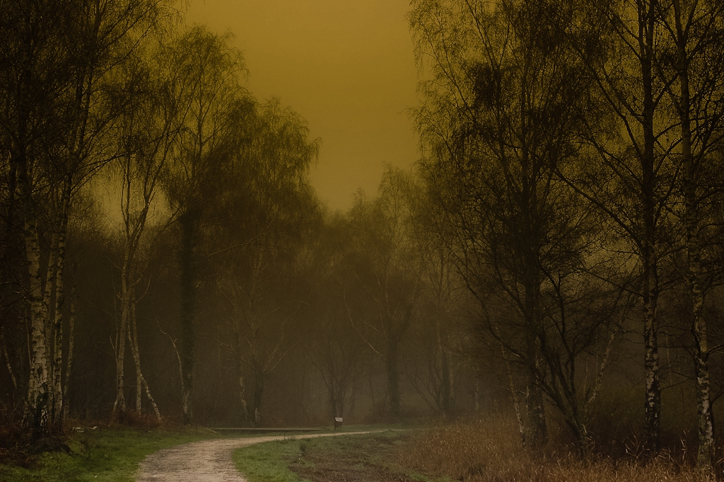 Un regard sur Brume