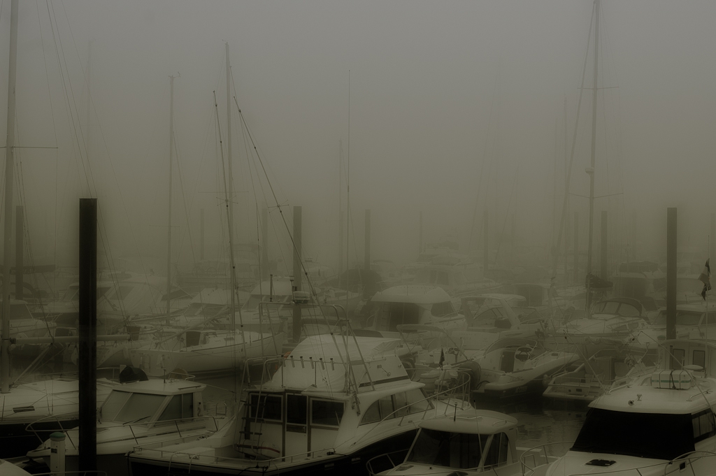 fog on the basin