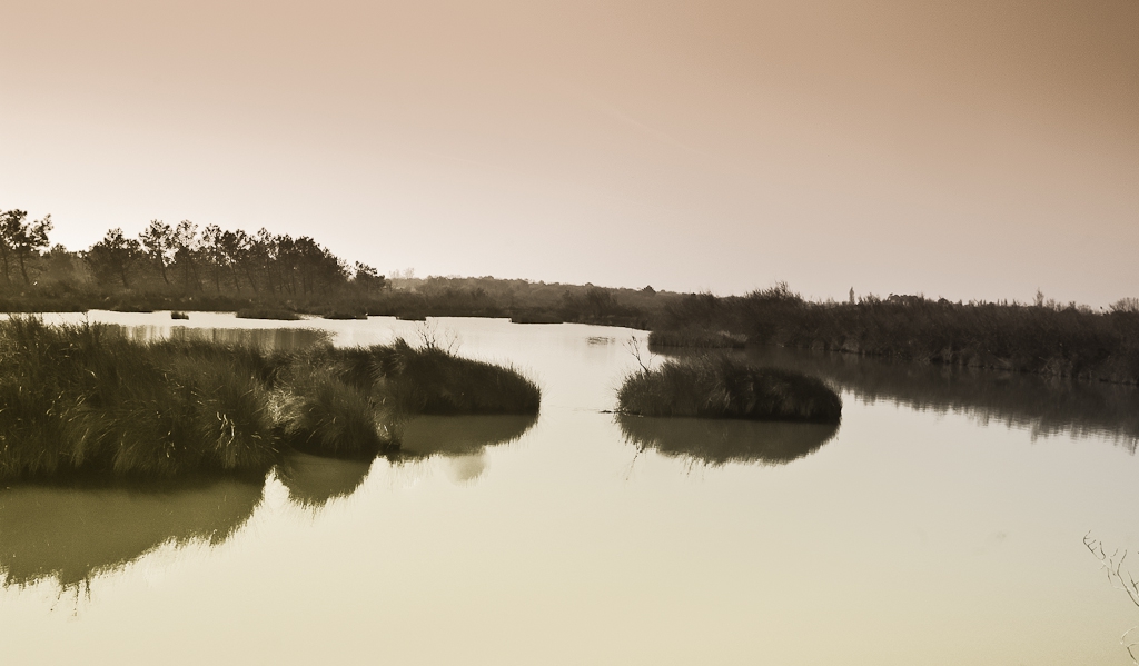 sur le littoral