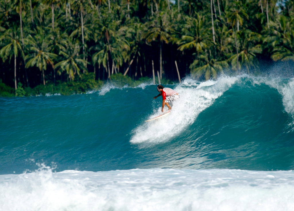 force- et- Elégance -des -vagues