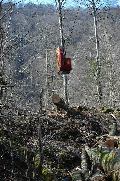 temoignage d'un débardeur