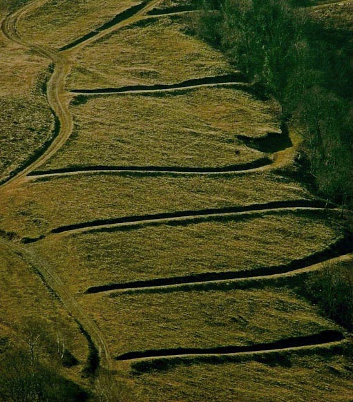 paysage - Montagnard