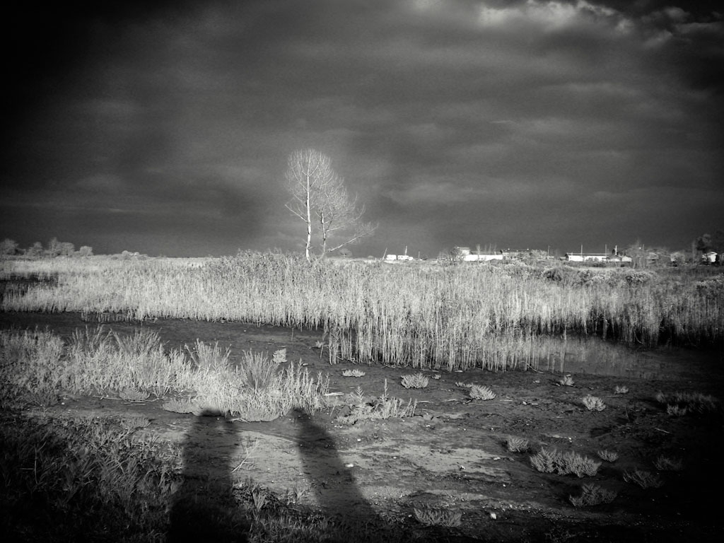 la Nature en Mjesté