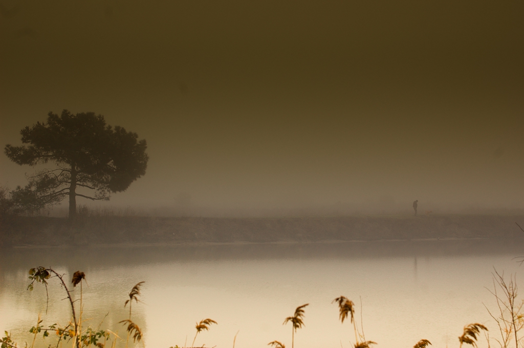 Un regard sur Brume