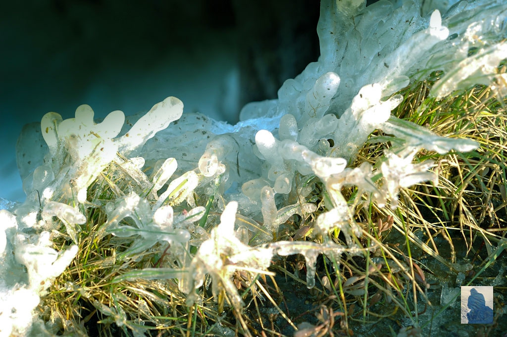 glacial vision