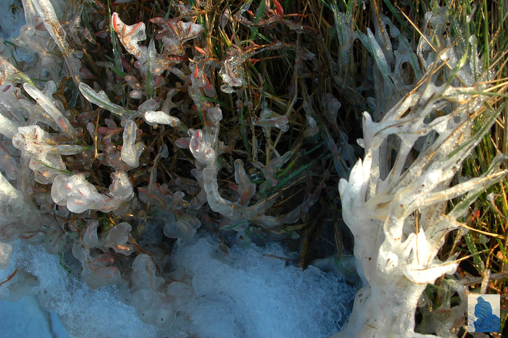 Vision glaciale