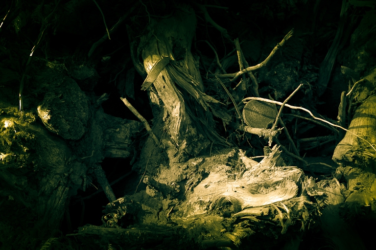 Ink in the Stump