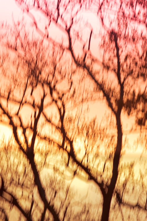 Ombre et Couleur