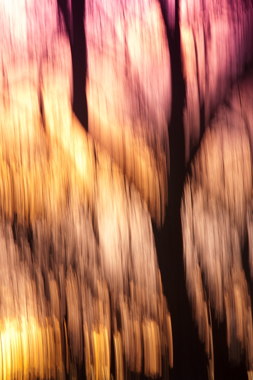 Ombre et Couleur