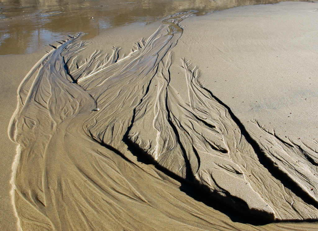 Sand Flower