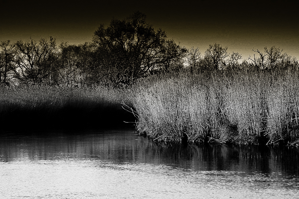 Un Espace Naturel